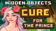 Hidden Objects Story Game