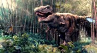 Forest Dinosaur Game