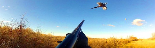 Pheasant Shooting Game