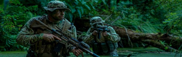 Jungle Combat Game