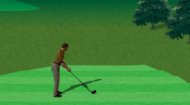 Realistic Golf Game