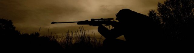 Best Sniper Games