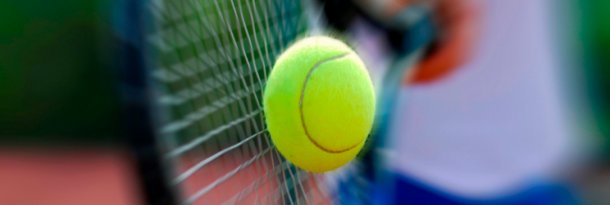Wimbledon Tennis Game